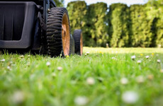 A bizarre story about a 'stolen' lawnmower made it into official government records 30 years ago