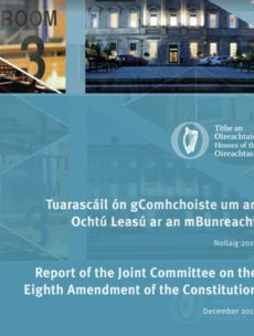 Repeal simpliciter: Here is the final report of the Eighth Amendment Committee