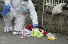 Student pleads guilty to murder of Leo Carolan at Dublin flat