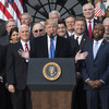 Trump hails 'historic' victory as Republican tax plan passes through Congress