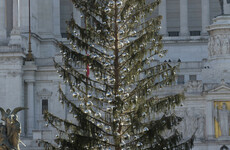'Baldy toilet brush': Locals aren't happy with Rome's wilted Christmas tree