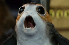 Here's why porgs were a necessary addition to Skellig Michael in Star Wars: The Last Jedi