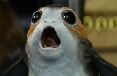 Here's why porgs were a necessary addition to Skellig Michael in Star Wars: The Last Jedi