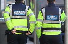 Garda Ombudsman appeals for witnesses to arrest of man in Limerick