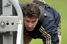 Back in harness: David Wallace returns to Munster squad