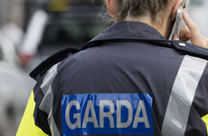 'Gardaí are not treated as victims': Man avoids jail after kicking garda who was unconscious on ground