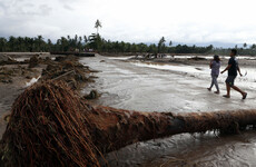 53-year-old man killed by crocodile during tropical storm in the Philippines