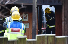 Aardvark, meerkats killed in fire at London zoo