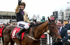 Tragedy at Leopardstown as Cheltenham champion Nichols Canyon suffers fatal fall