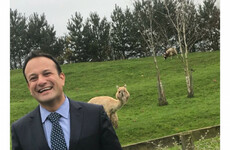 Tweeting TDs: Who excelled on social media in 2017?