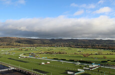 Jockey stood down after failing New Year's Day breath test