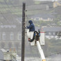 ESB continues to work to restore power after 55,000 homes affected by Storm Eleanor