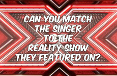 Can You Match The Singer To The Reality Show They Featured On?