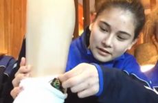 This Young Scientist project is almost ready for this week's competition