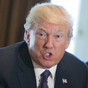 Poll: Are you going to buy a copy of the Michael Wolff book about Trump?