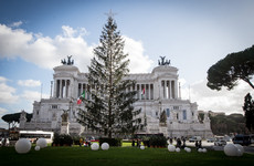 Dead on arrival, Rome's 'mangy' Christmas tree set to be immortalised