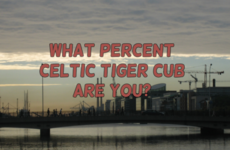 What Percent Celtic Tiger Cub Are You?