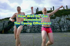 How Well Do You Remember The Young Offenders?