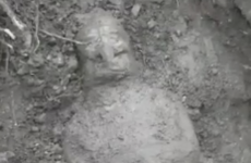 Heritage Department has ‘no intention’ of investigating mysterious Loughcrew ‘find’