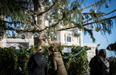 Rome's 'baldy' Christmas tree is being made into a family hut and souvenirs