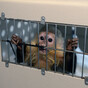 Justin Bieber's pet monkey still "has issues" five years after the singer abandoned him in Germany