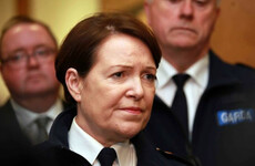 'You really need to think about this' - what Garda legal head says he should've said to Nóirín O'Sullivan