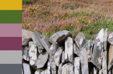 'The colours are always changing': Meet the artist making a palette from Ireland's landscape