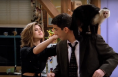 Using monkeys and apes in film and TV is 'misleading' millions of viewers