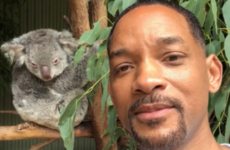 Will Smith narrating his trip to the zoo on Instagram is just the purest thing