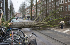 Three dead in Netherlands and flights suspended at Schiphol airport following violent winds