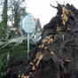 Poll: Do you take weather warnings more seriously when storms have names?