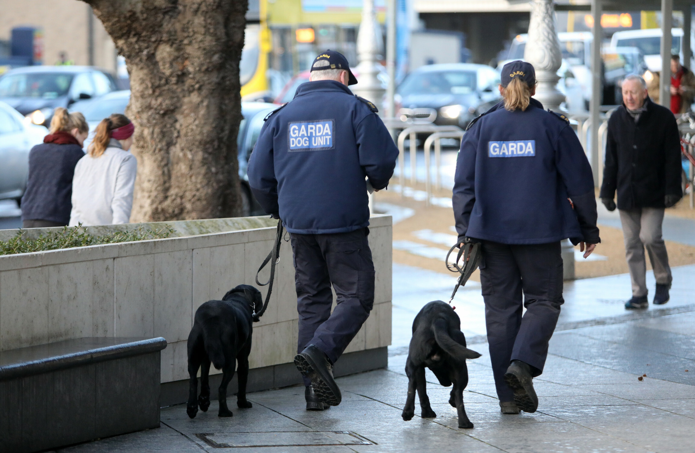 garda k9 unit