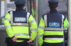 'Mistrust', 'frustration': Dubliners have their say on the future of policing in Ireland