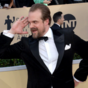 David Harbour really wanted to dance with penguins, so Twitter helped him out