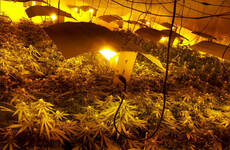 €2.7 million worth of drugs seized in north Dublin