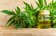 Pharmaceutical cannabis could reduce sudden falls for people with treatment-resistant epilepsy