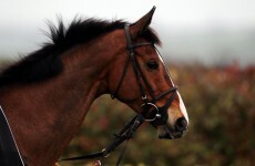 It's on: Kauto Star will run in Cheltenham Gold Cup