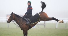 Buckaroo! Here’s what’s happening at Cheltenham today…
