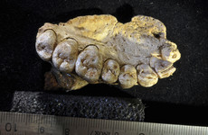 These Israeli teeth show modern humans left Africa 100,000 years earlier than thought