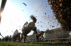 Cheltenham Trials Day: Barry Geraghty ensures Apple's Shakira maintains perfect record