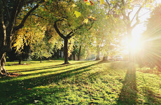 Poll: Do you and your family make use of your local park?