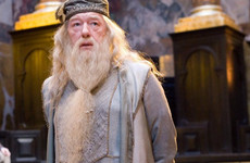 Fans are disappointed that J.K. Rowling isn't highlighting Dumbledore's sexuality in the new Fantastic Beasts movie