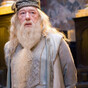 Fans are disappointed that J.K. Rowling isn't highlighting Dumbledore's sexuality in the new Fantastic Beasts movie