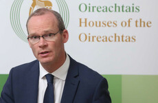 Coveney: 'I don't believe there should be unrestricted access to abortion at any point in time'