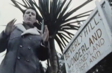 This 1983 RTÉ report from a Cork theme park called 'Beverly Hills Wonderland' is just brilliant