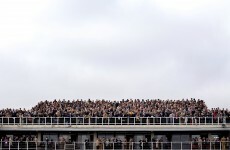 The winners' enclosure: Rock on Ruby saves the day for bookies