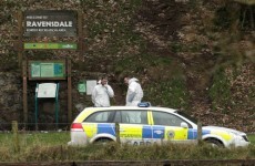 Gardaí identify bodies found in burnt-out car near Dundalk