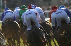 Festival’s opening day marred by three horse fatalities