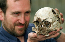 First Irish populations had dark skin similar to Cheddar Man, DNA research suggests