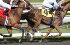 HBO suspends filming with horses on 'Luck' drama